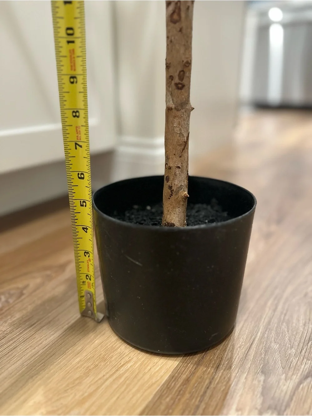 Faux Olive Tree